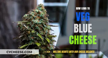 Blue Cheese Veg Time: How Long Should You Wait?