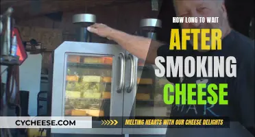 When to Enjoy Smoking Cheese After Preparation