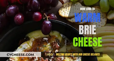 The Perfect Brie: Warming Time for Creamy Cheese