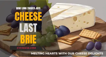 Trader Joe's Brie Cheese: How Long Does It Last?