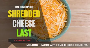 Shredded Cheese: How Long Does It Really Last?