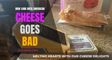 American Cheese: How Long Does It Last?