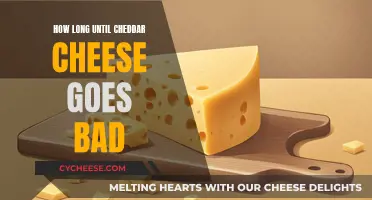 Cheddar Cheese: How Long Does It Last?