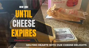 Cheese Expiry: How Long Does it Last?