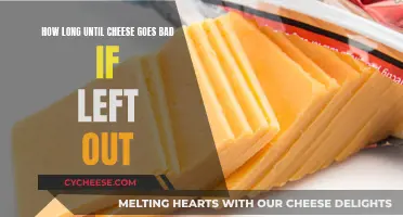 Cheese's Enemy: Spoilage Timing When Left Out