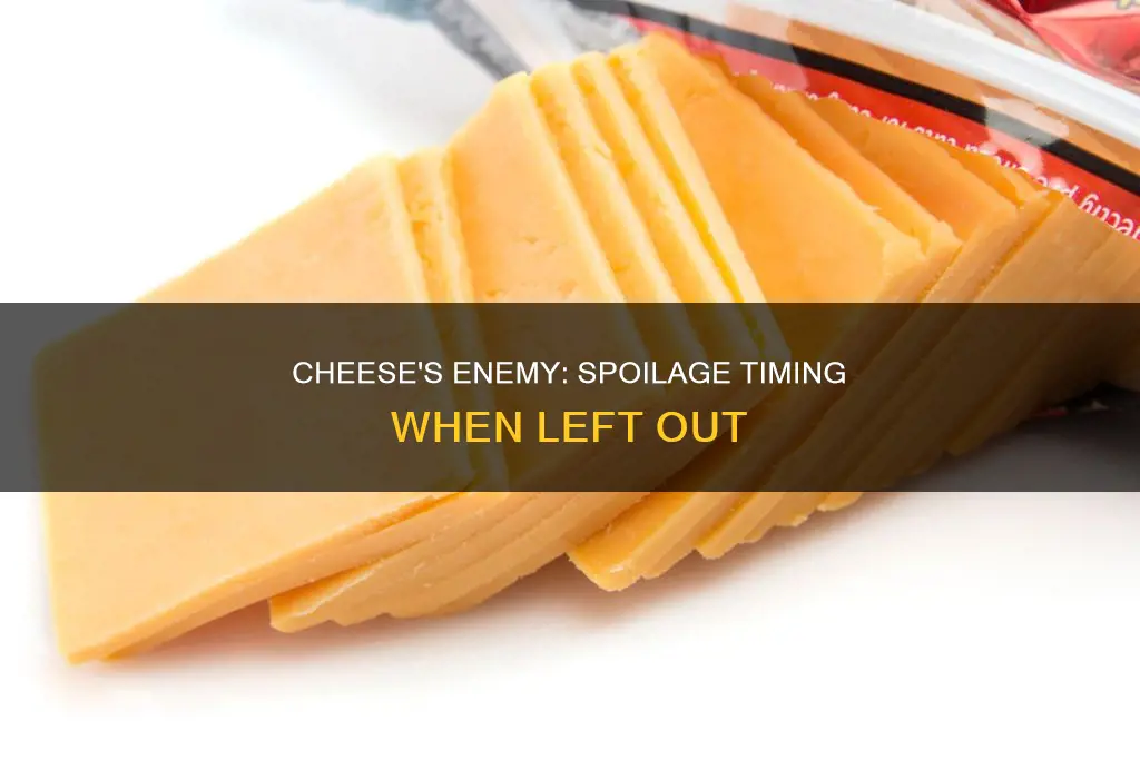 how long until cheese goes bad if left out