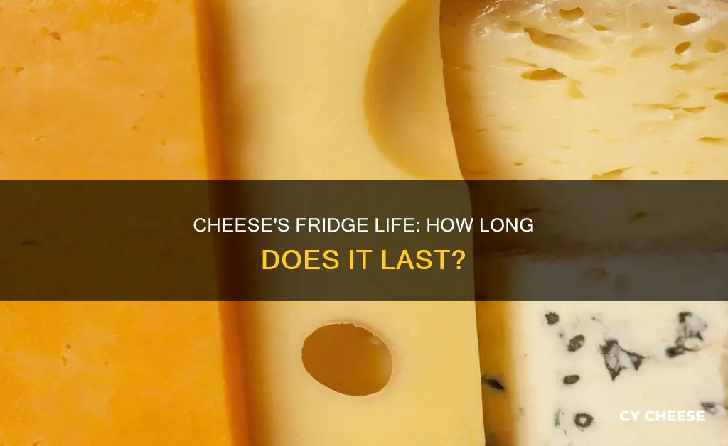 how long until cheese spoils out of the fridge