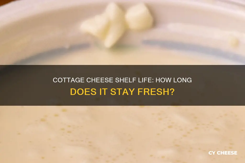 how long until cottage cheese goes bad