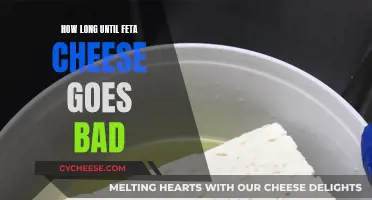 Feta Cheese: How Long Does It Last?