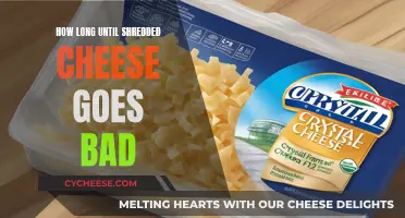 Cheese Storage: How Long Does Shredded Cheese Last?