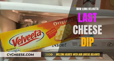 Velveeta Cheese Dip: How Long Does it Last?