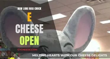 Chuck E. Cheese's Long History: Open and Shut Cases