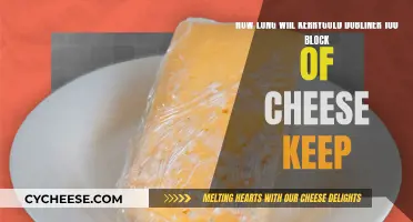 The Longevity of Kerrygold Dubliner Cheese Blocks