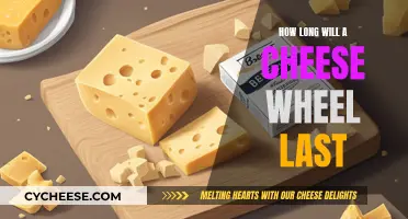 Cheese Wheel Longevity: How Long Does it Actually Last?