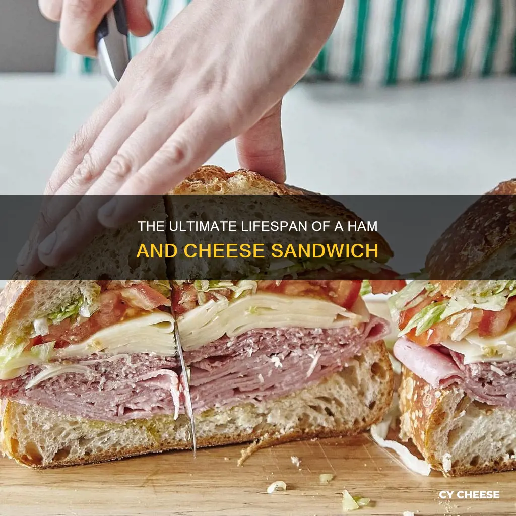 how long will a ham and cheese sandwich last