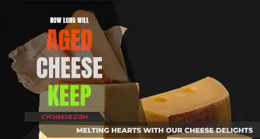 Cheese Longevity: Aging Techniques for Extended Deliciousness