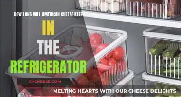 Cheese Storage: American Cheese Fridge Life Explained