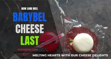 The Enduring Freshness of Babybel Cheese: How Long Does it Last?