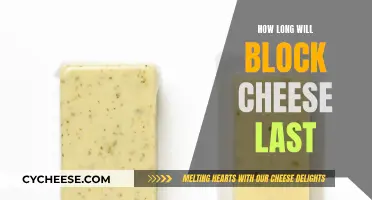 Cheese Storage: How Long Does Block Cheese Last?