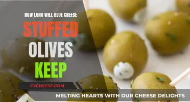 Storing Blue Cheese Stuffed Olives: How Long Do They Last?