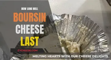 The Lifespan of Boursin Cheese: How Long Does it Last?