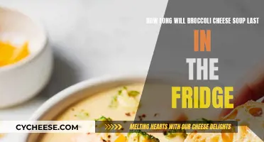 Broccoli Cheese Soup: How Long Does it Last?