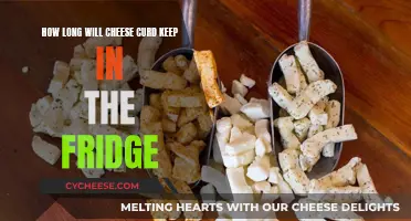 Cheese Curd: How Long Can You Keep It?