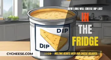 Cheese Dip: How Long Does it Last in Fridge?