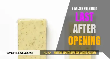 Cheese Lifespan: How Long Does it Last After Opening?