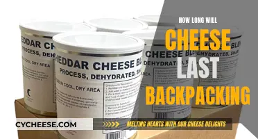 Cheese Longevity: Backpacking Essentials for Dairy Connoisseurs