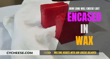 Wax-Encased Cheese: How Long Does It Stay Fresh?