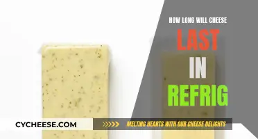 Cheese Lifespan: How Long Does it Last in the Fridge?