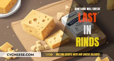 Cheese Rinds: How Long Does Freshness Last?