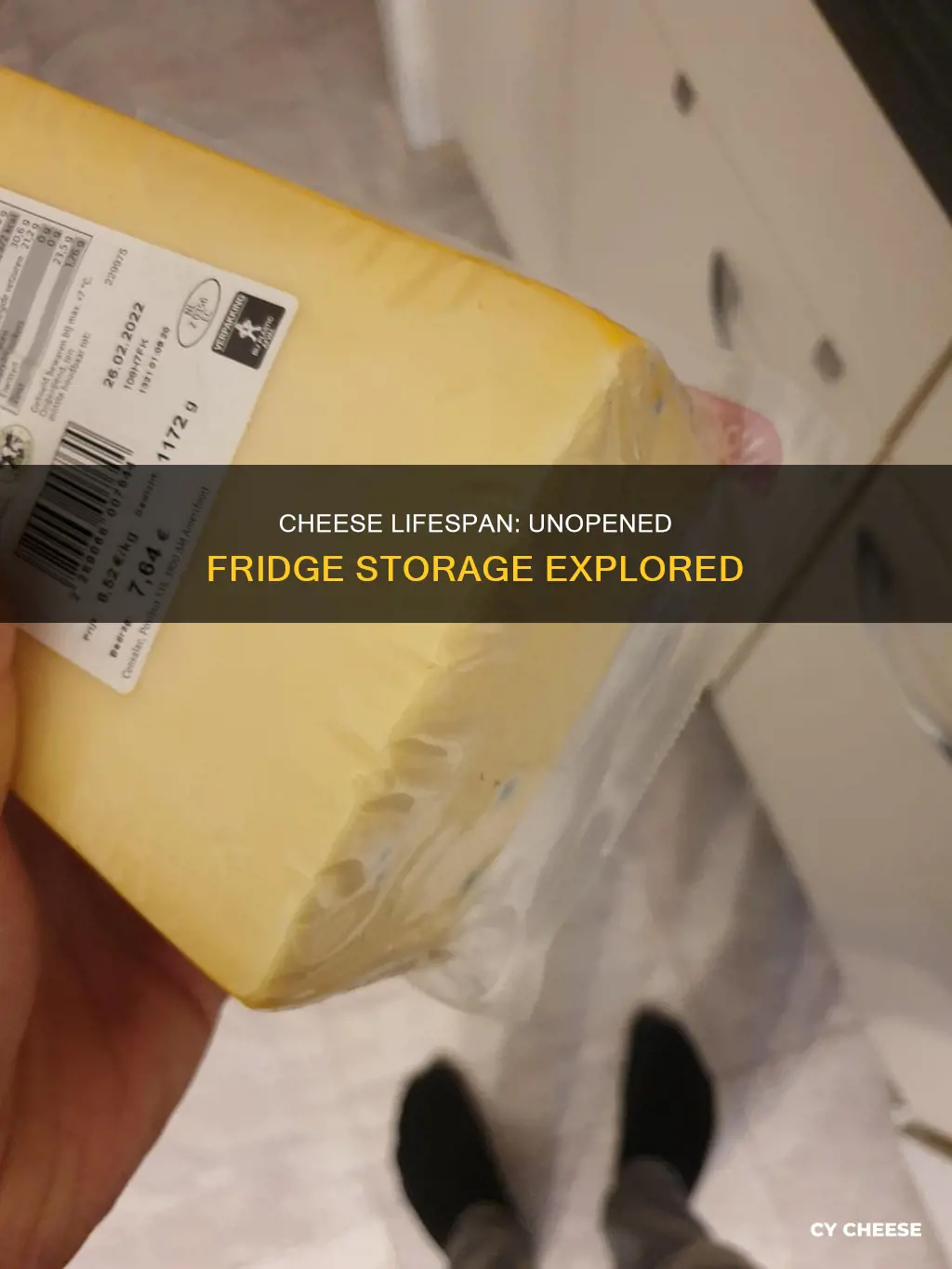 how long will cheese last in the fridge if unopened