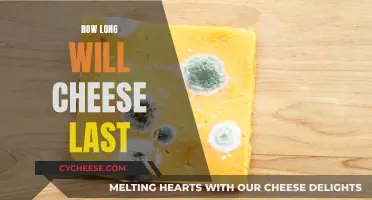 Cheese Lifespan: How Long Does it Really Last?