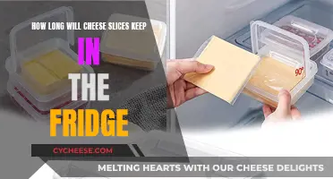 Cheese Slices: How Long Do They Last?