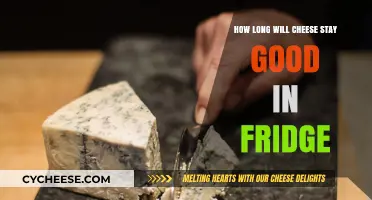 Cheese Lifespan in the Fridge: How Long is Too Long?