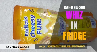 Cheese Whiz: How Long Does it Last in the Fridge?