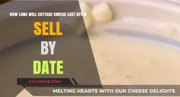 Cottage Cheese Shelf Life: How Long After Sell By Date?