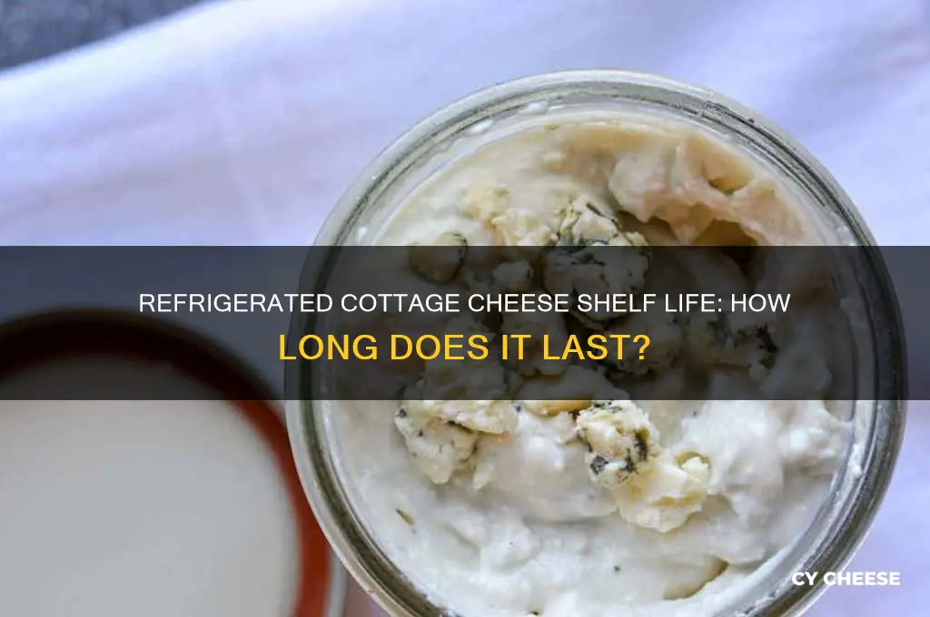 how long will cottage cheese last refrigerated