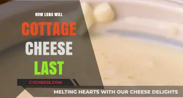 Cottage Cheese Shelf Life: How Long Does It Stay Fresh?