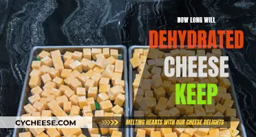 Dehydrated Cheese: How Long Does It Last?