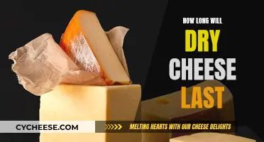 Cheese Longevity: How Long Does Dry Cheese Last?