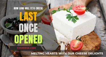 Feta Cheese: How Long Does It Last?