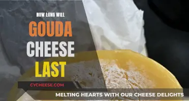 Gouda Cheese: How Long Does It Last?