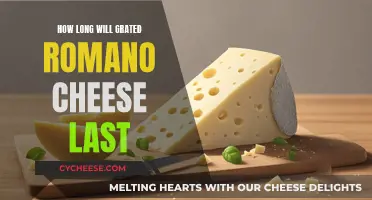 Romano Cheese: How Long Does It Last?