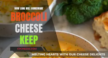 Storing Homemade Broccoli Cheese: How Long Will It Keep?