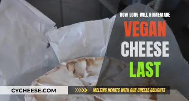 Vegan Cheese: How Long Does it Stay Fresh?