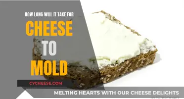 Cheese Mold: A Timely Transformation