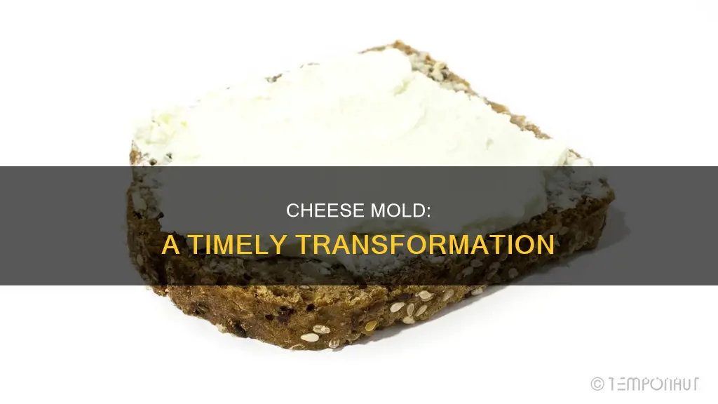 how long will it take for cheese to mold